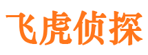 渭源市私家侦探